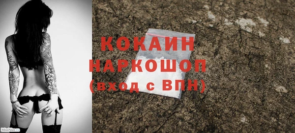 PSILOCYBIN Балабаново