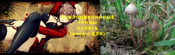 MDMA Баксан