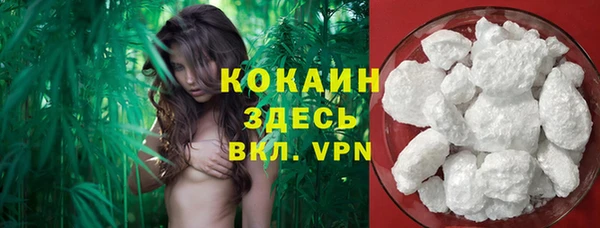шишки Беломорск